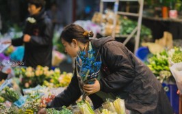 打卡武汉城区最大的花市品种繁多实惠价格大学生的约会胜地