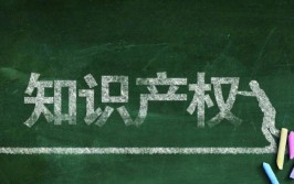 知识产权侵权纠纷中权利人鉴别材料的证据属性与程序适用问题研究(权利人知识产权鉴别侵权证据)