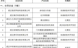 湖北第二批支柱产业细分领域隐形冠军企业名单出炉(股份有限公司有限公司科技有限公司科技股份有限公司首批)