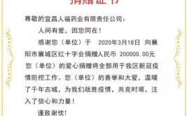 慈善公益是企业文化 更是发展战略——记宜昌人福药业有限责任公司(万元捐赠药业公益有限责任公司)