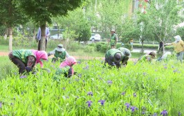 泉州永春夏季草木生长旺 园林部门管护忙