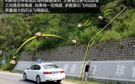 开车途中前方遇到山体滑坡该怎么办？(山体滑坡开车车辆车道)