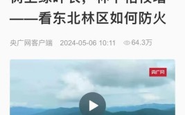 解码森工林下经济“添绿增金”之路 不砍树也致富(林下森工林区森林经济)