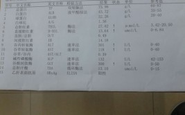 高考体检转氨酶高复检查什么