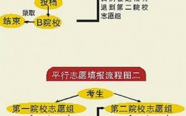 平行志愿6个专业顺序怎么填