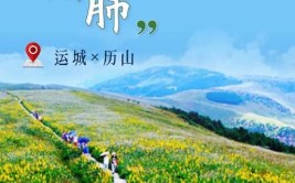 一键开启「花式宠爸」南湖模式！(一键开启模式活动打卡)