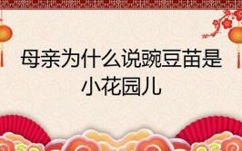 为什么母亲要把一株豌豆苗称为一个小花园呢