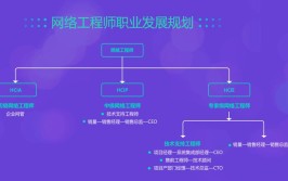 网络工程师专业主要就业方向是什么