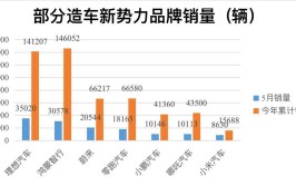 新势力是“杂牌车”(新能源下沉市场燃油消费者)