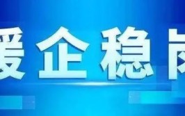 授信15亿！中山区带来惠企纾困“及时雨”(企业中山小微疫情金融)