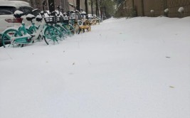 大雪暴雪后的重建车鹏一定要仔细买好材料找好师傅！(雪暴师傅买好材料块钱)