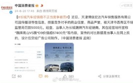 汽车经销商保险处罚案例分析。(业务汽车销售万元该公司罚款)