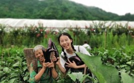 芦山县飞仙关镇凤禾村聚焦两美一富目标 打造宜居乡村芦山样板