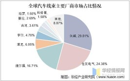 汽车天线模块行业市场现状分析及投资机遇研究报告(天线模块汽车全球细分)