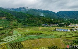 记者走基层丨不断电的“绿色充电站”(充电站发电充电记者和风)