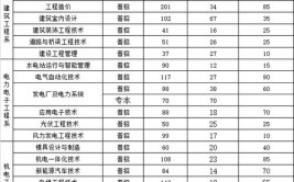 湖北水利水电职业技术学院艺术类专业有哪些？