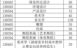 湖南科技大学艺术类专业有哪些？