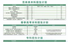 泰山学院的学校代码是什么