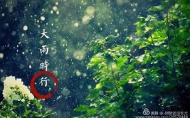 腐草为萤,土润溽暑,大雨时行什么意思