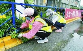 白山市住建局夏季绿化养护实现精细化管理