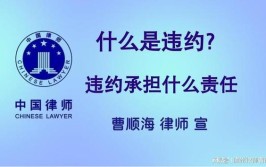 华商记者帮|装修进行了一半装修公司停工 律师：装修公司构成违约(装修公司业主装修停工合同)