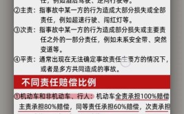 新手遇到交通事故怎么处理？现场保护很重要(事故交通事故调解新手司机)