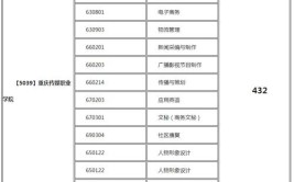 重庆传媒职业学院2019年全日制普通专科招生章程