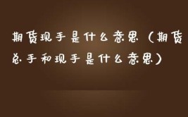 现手是什么意思