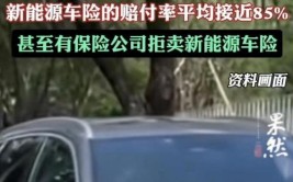 新能源车主被困占比高(救援马帮车辆被困比高)