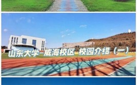 山东大学威海分校和山东大学区别