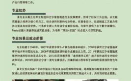 沈阳理工大学中外合作办学学费多少钱一年