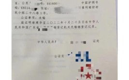 单身证明双认证怎么办理公证小知识附公证样式