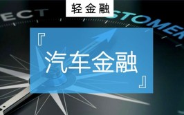 汽车金融创新为何难有未来？(汽车代购停业分公司关门)