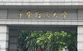 上海华东理工大学是985还是211