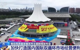 广西出台北部湾国际门户港建设三年行动计划 打造国际枢纽海港(自治区集团有限公司建设东盟发展)