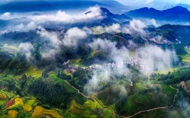 周宁发挥“天然空调城”优势 打造康养避暑胜地(旅游云端景区乡村游客)