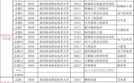 重庆2024年艺考生能上的大学有哪些