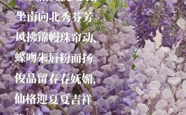 明清的诗：咏花组诗（ 十二首）(明清的诗二首就像紫丁香)