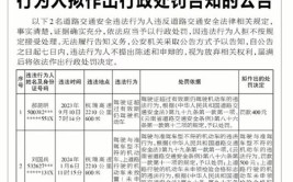 岳阳市公安局交通警察支队云溪大队公安交通管理行政处罚公告(大队违法行为行政处罚交通警察公安局)