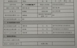 宽限期内出险有的赔偿吗(保费保险公司保单宽限宽限期)