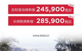 针对早期Model 3售价2980元(特斯拉升级服务销量售价)