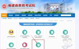 2024福建艺术统考成绩查询时间及查询入口