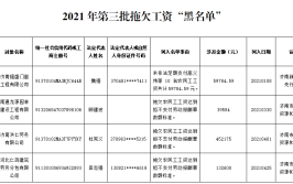 江西省公布2020年重大劳动保障违法行为及欠薪“黑名单”30家企业拖欠工资被曝光(拖欠该公司万元工资支付)