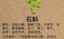 品质过硬消费者满意“10大名药材”名副其实(中药材药材种植石斛亿元)