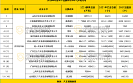 途虎、驰加、精典、华胜、小拇指、三头六臂...谁的销售规模最高?(连锁数字化小拇指加盟门店)