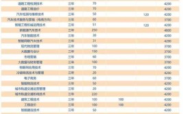 2024年河南交通职业技术学院全国排名多少