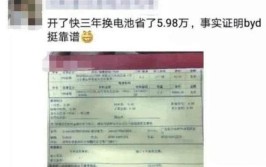 看到账单很意外，确实便宜(新能源汽车车主电池账单)