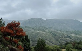 宝城——罗山巡礼(罗山巡礼的人为其笔者)