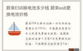 换电池多少钱？看看两位车主是怎么说的(电池车主汽车两位电池组)