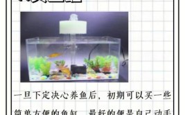 如何才能轻松养活观赏鱼除了常见的3个小套路我还有个小绝招